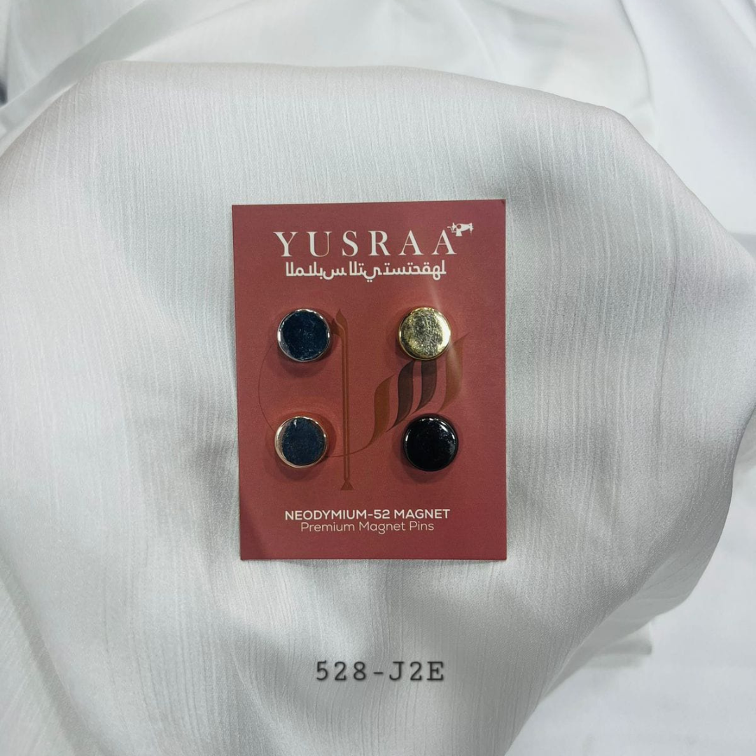 Circle Shaped Magnets